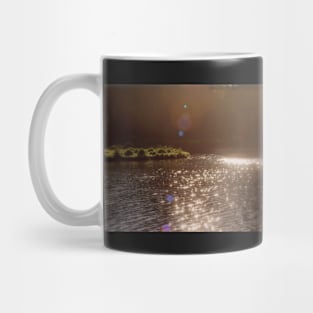 view across Trojan pond, near Goble, Oregon with flare 3 Mug